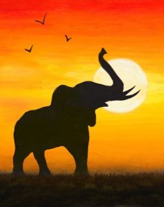 SABADO 20 JUNIO 11:30h ELEFANTE AFRICANO NEÓN (CASTELLÓN)