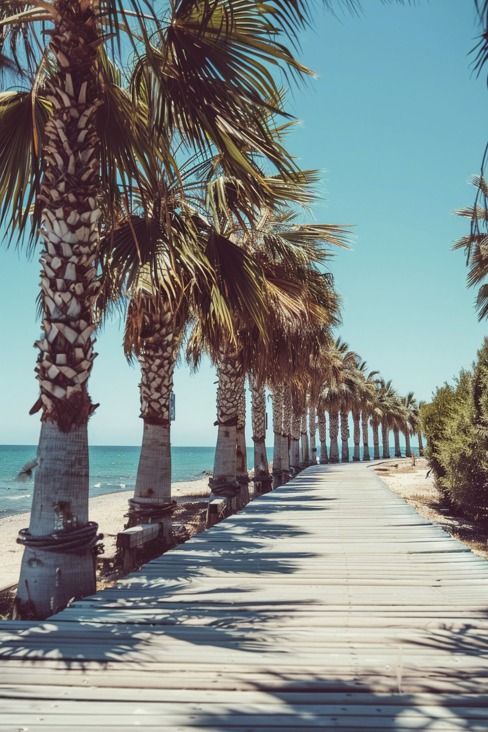 QUE HACER EN VERANO EN CASTELLÓN