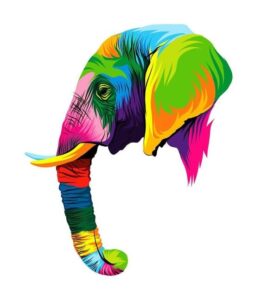 VIERNES 21 AGOSTO 18:00h. ELEFANTE COLORES NEÓN (CASTELLON)