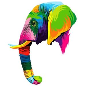 VIERNES 18 SEPTIEMBRE 18:00h. ELEFANTE COLORES NEÓN (CASTELLÓN)