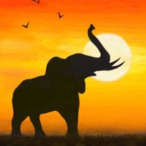 SÁBADO 12 SEPTIEMBRE 11:30h. ELEFANTE AFRICANO NEÓN (CASTELLÓN)